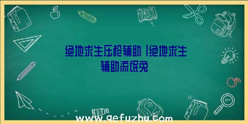 「绝地求生压枪辅助」|绝地求生辅助流氓兔